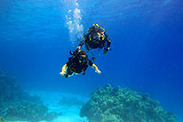 PADI Adaptive Techniques Spezialkurs