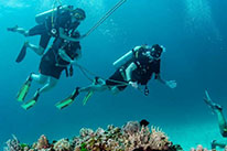 discover scuba diver