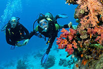 discover scuba diver