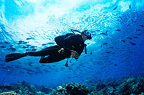 discover scuba diver