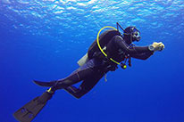 discover scuba diver