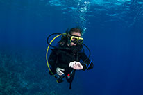 discover scuba diver