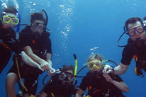 discover scuba diver