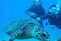 discover scuba diver