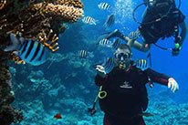 discover scuba diver