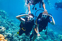 discover scuba diver