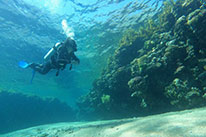 side mount diver specialty