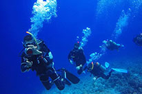 side mount diver specialty