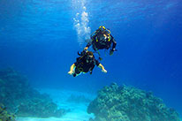 side mount diver specialty